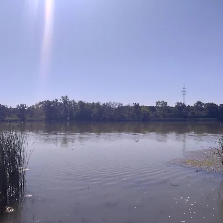 Diana Lak Iii. Tokol