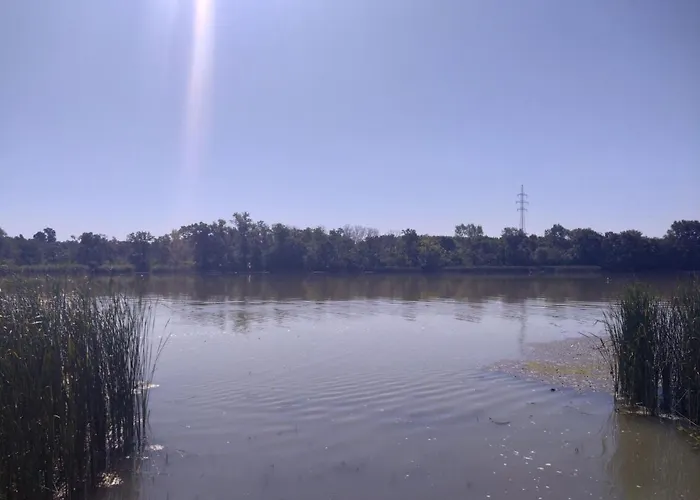 Diana Lak Iii. Tokol